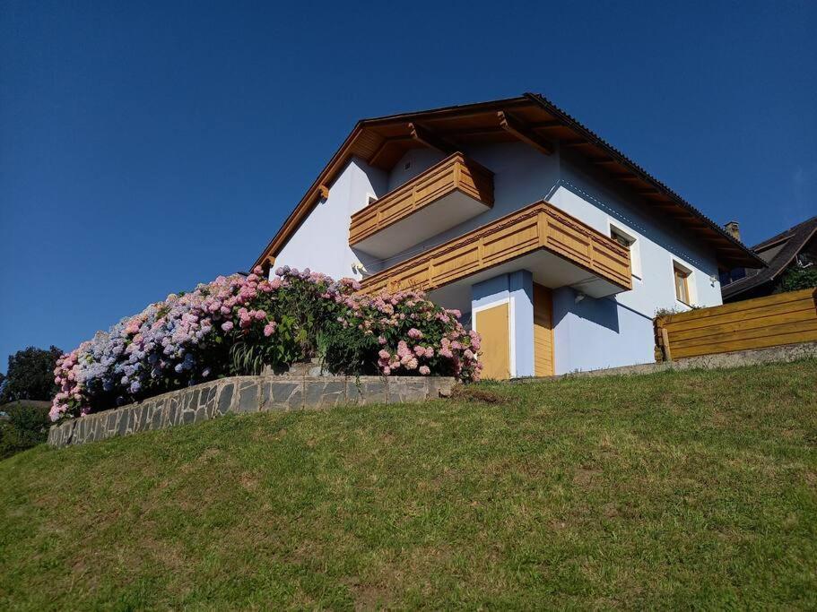 Haus Sonnenhang +Seeblick+Pool Reifnitz Extérieur photo