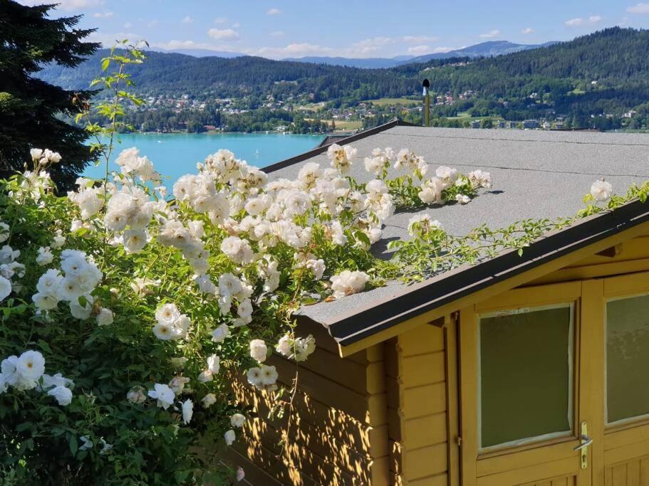 Haus Sonnenhang +Seeblick+Pool Reifnitz Extérieur photo